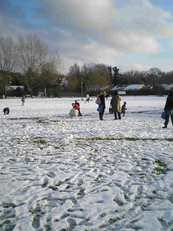 Snowy_Weather_Feb_09 (21)